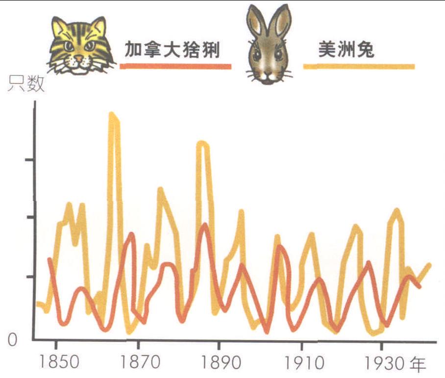 加拿大猞猁和美洲兔的数量