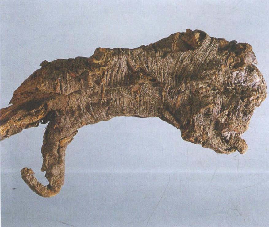 8 大黃