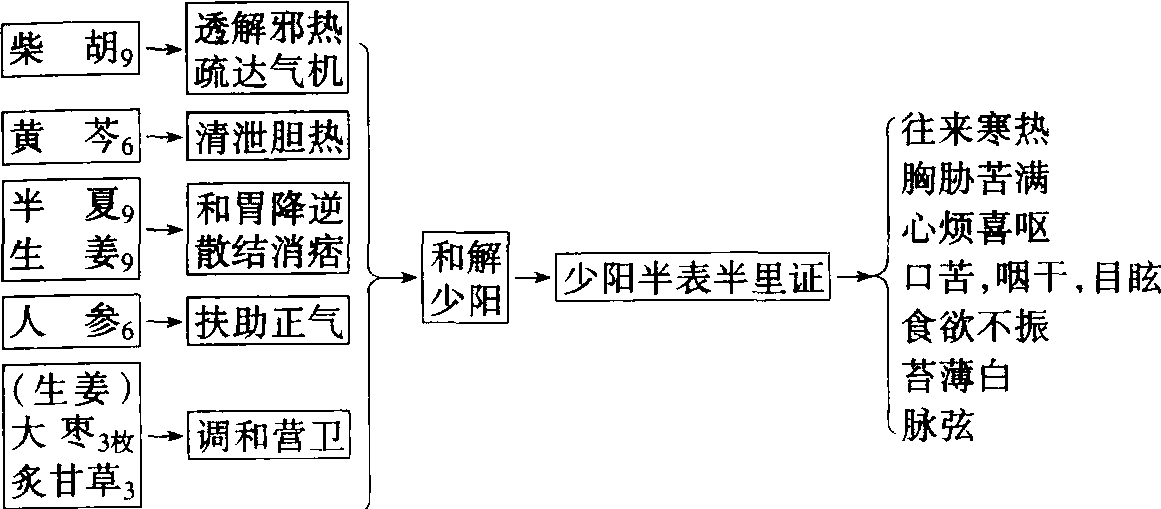 6.小柴胡湯(《傷寒論》·和解少陽法)