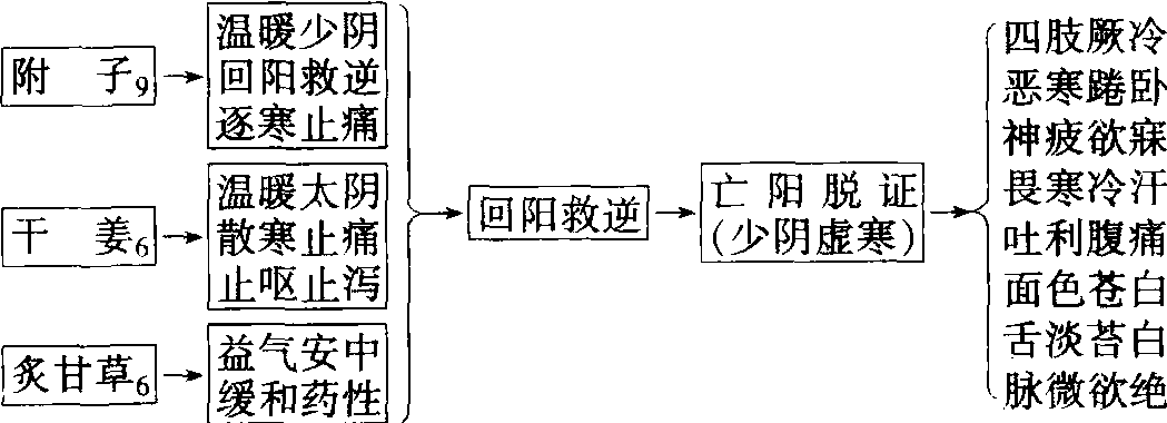 8.四逆湯(《傷寒論》·回陽救逆法)