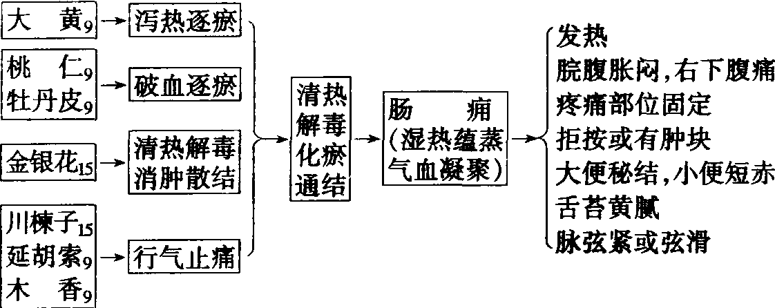 15.闌尾化瘀湯