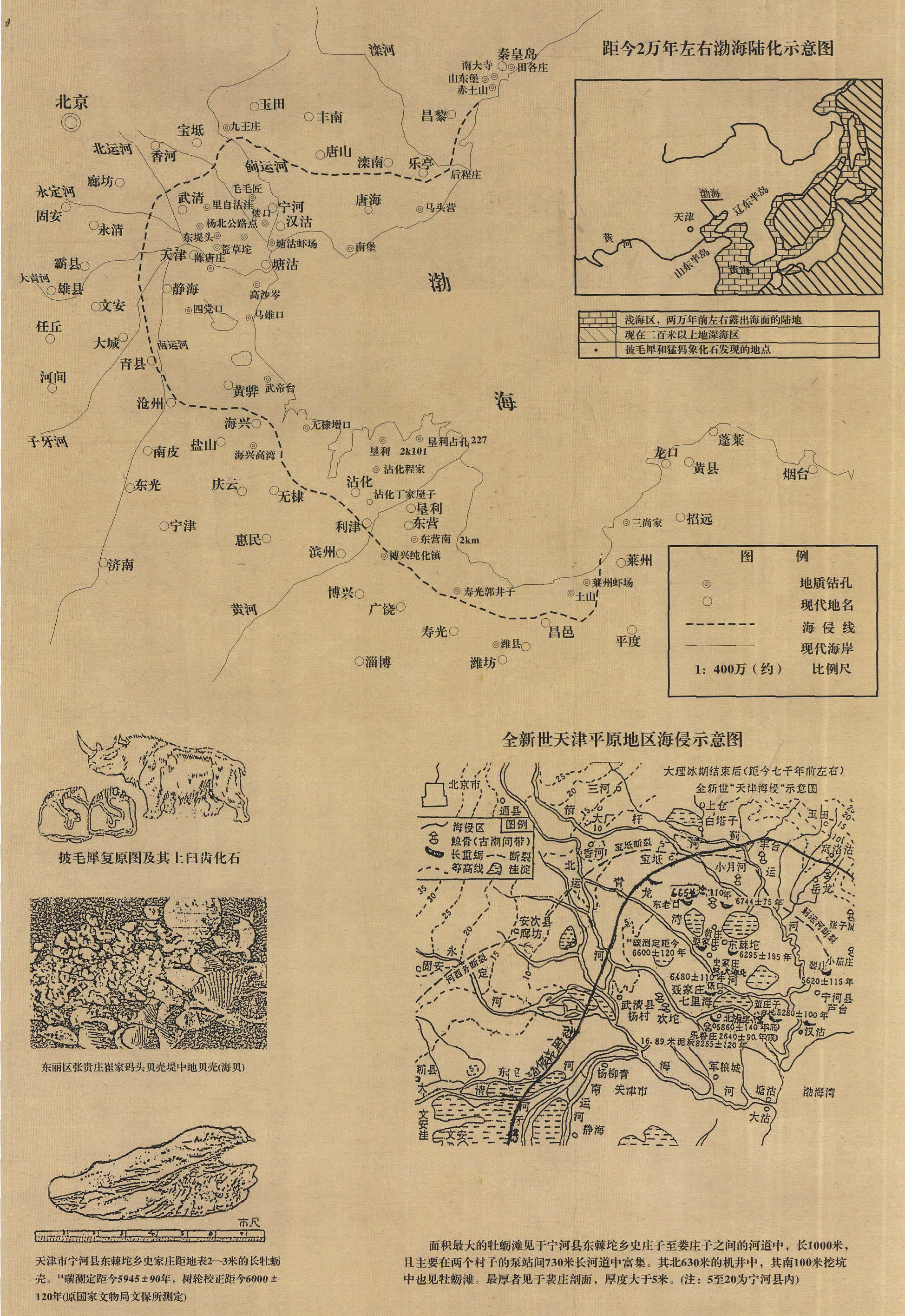 3.渤海湾全新世海侵示意图