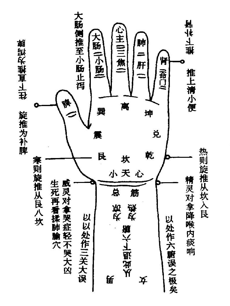 掌面推三关退六腑运八卦图