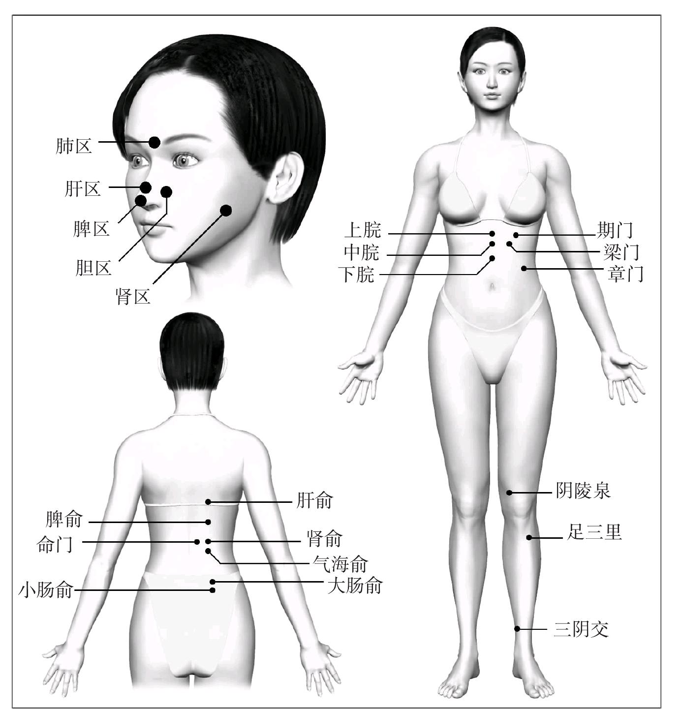 第二十五節(jié) 慢性腎小球腎炎