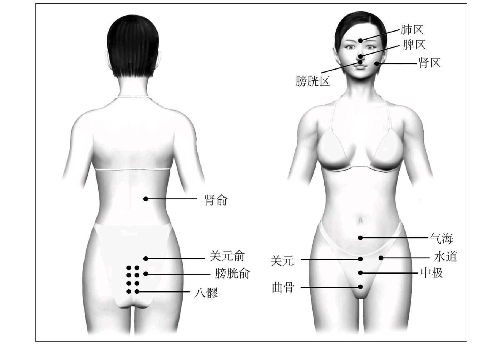 第二十六節(jié) 尿潴留