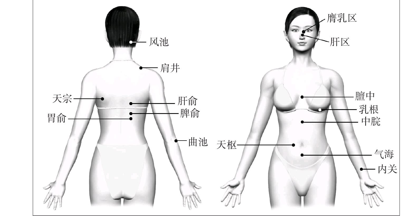 第五節(jié) 乳腺增生病