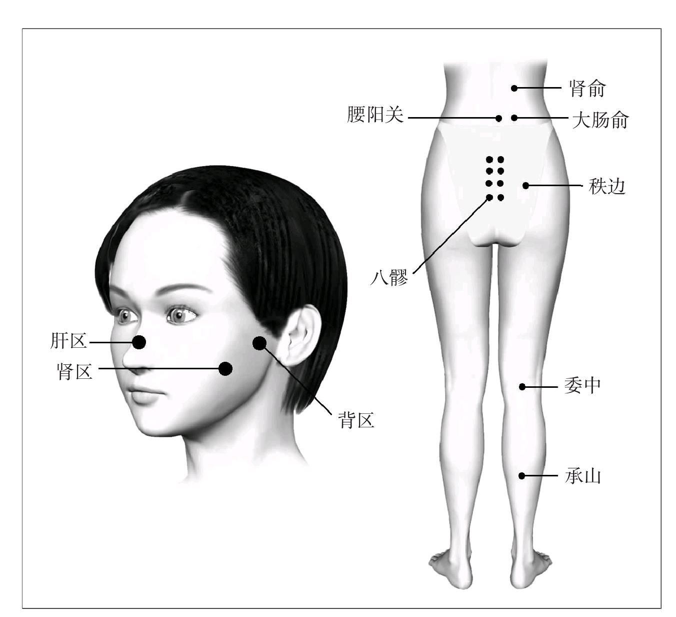 第六節(jié) 慢性腰肌勞損