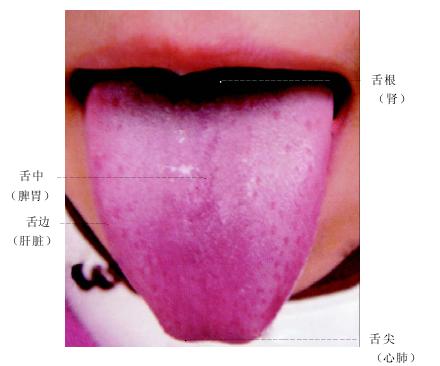 第七章望舌診病法