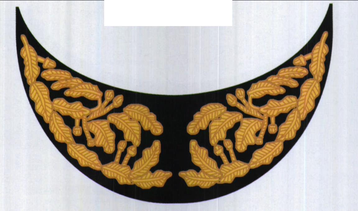 海軍軍帽