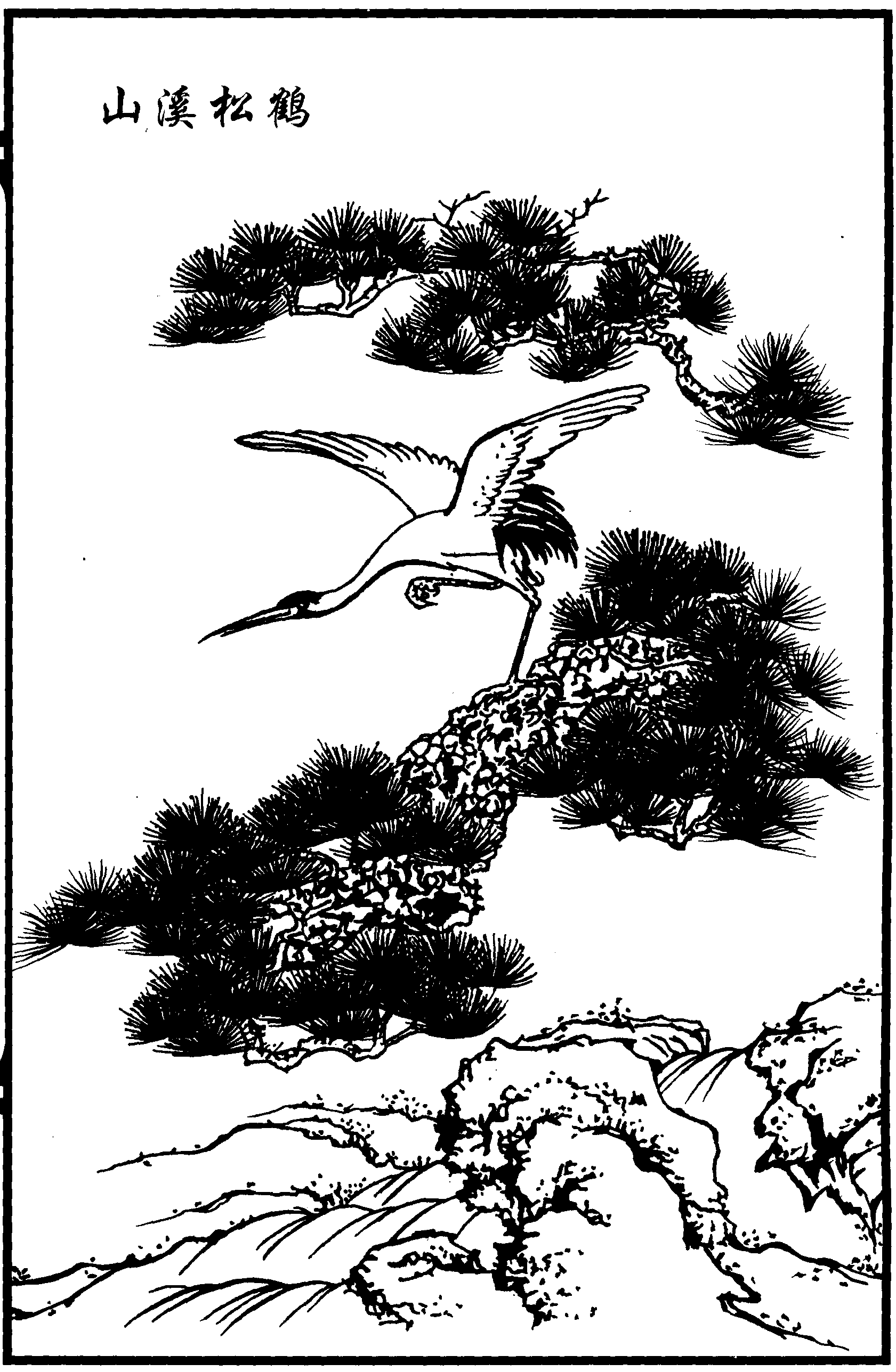 山溪松鹤