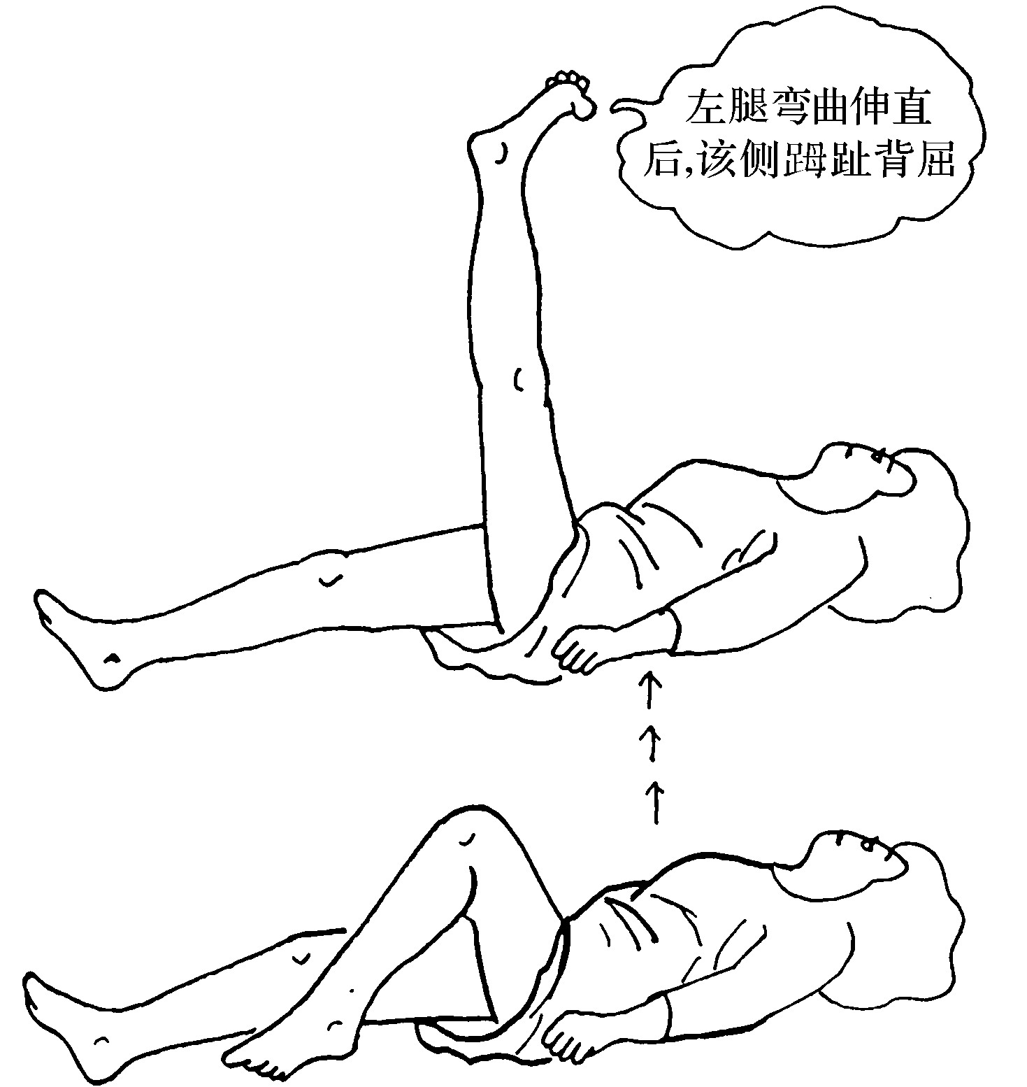 50.外—埃征
