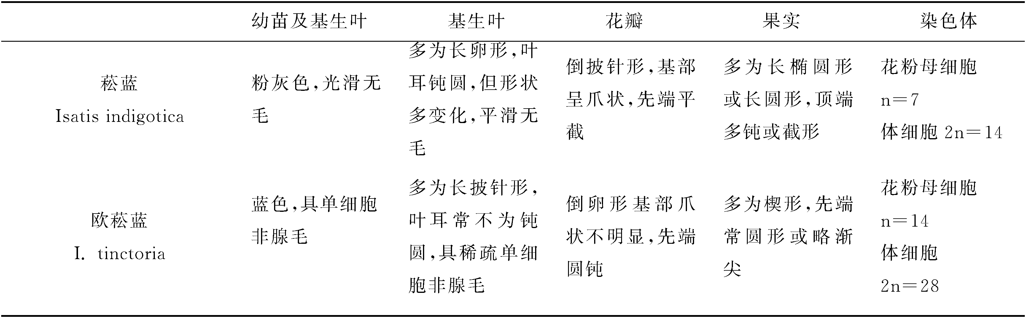 第一節(jié)　青黛的植物學(xué)