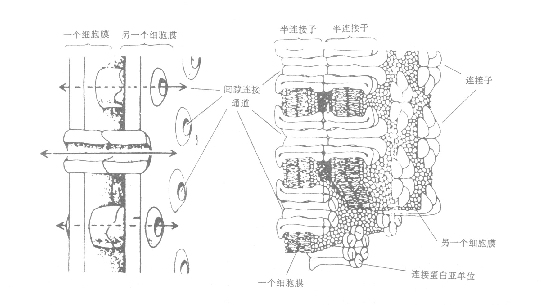 第一節(jié)　前言