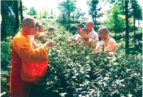 第三节佛教对我国饮食文化的影响