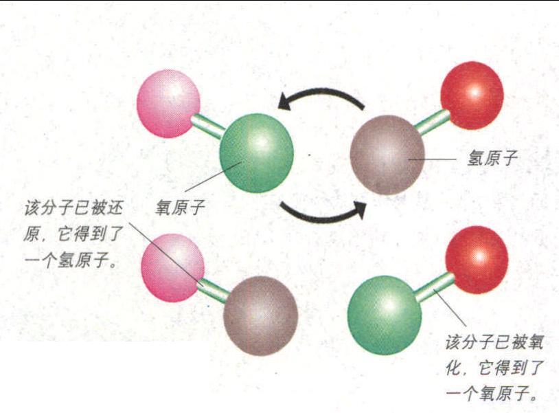 拉瓦錫的蠟燭店——不可缺少的皚氧氣