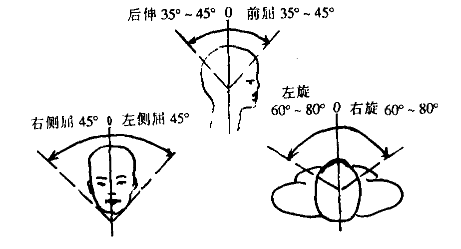 一、脊柱檢查