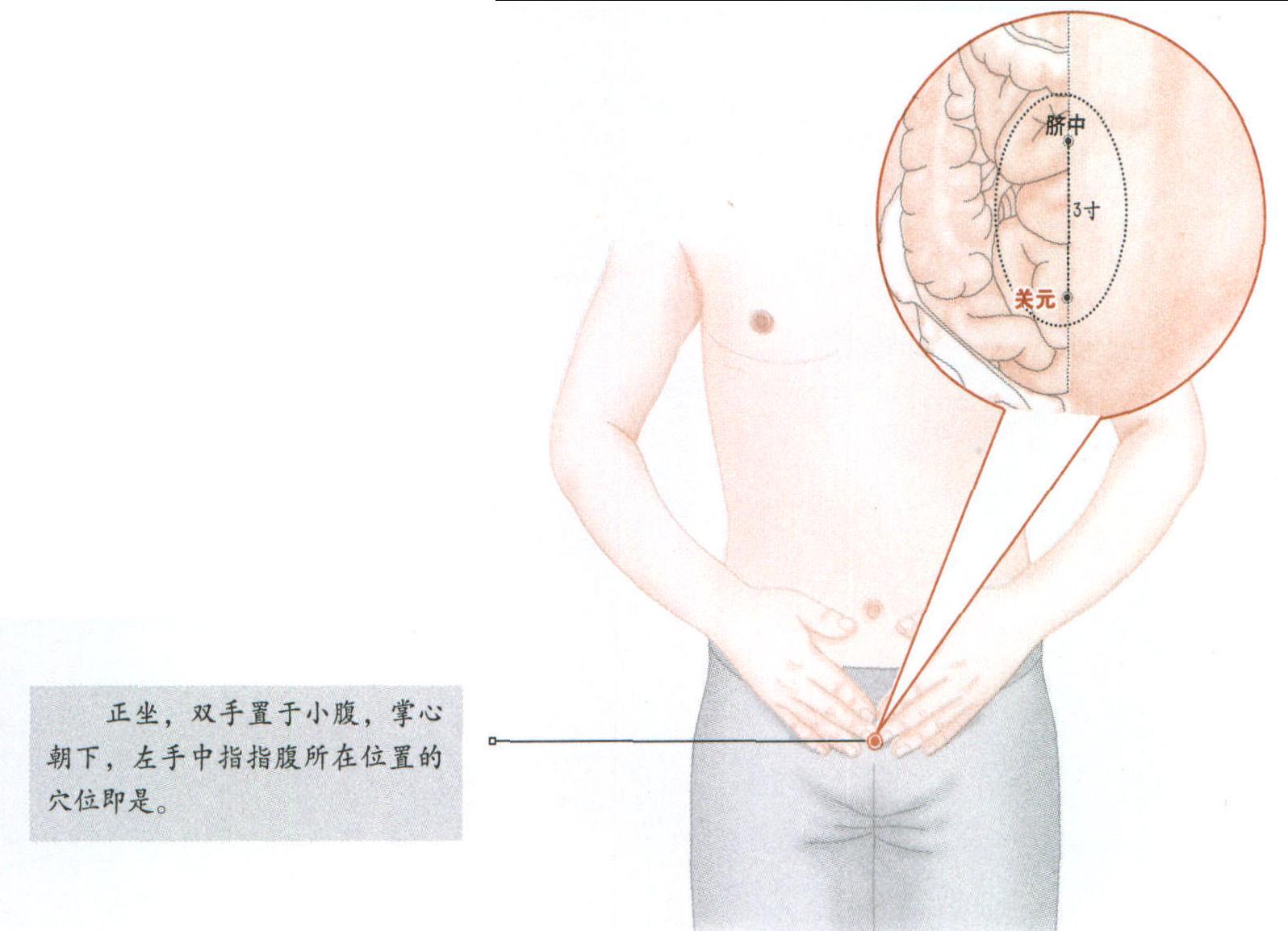 關(guān)元穴