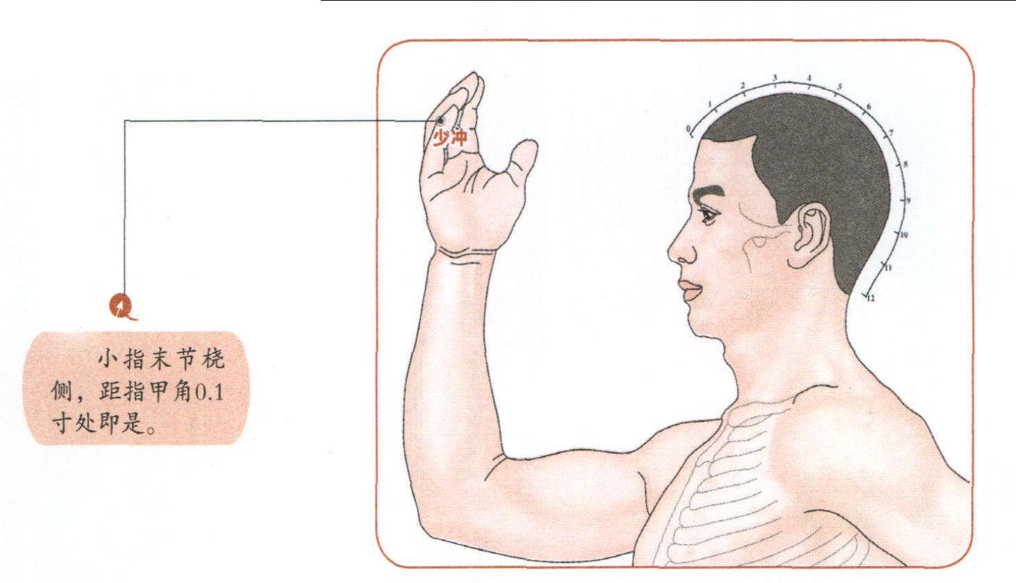 少?zèng)_穴