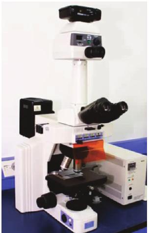 一、普通光学显微镜
