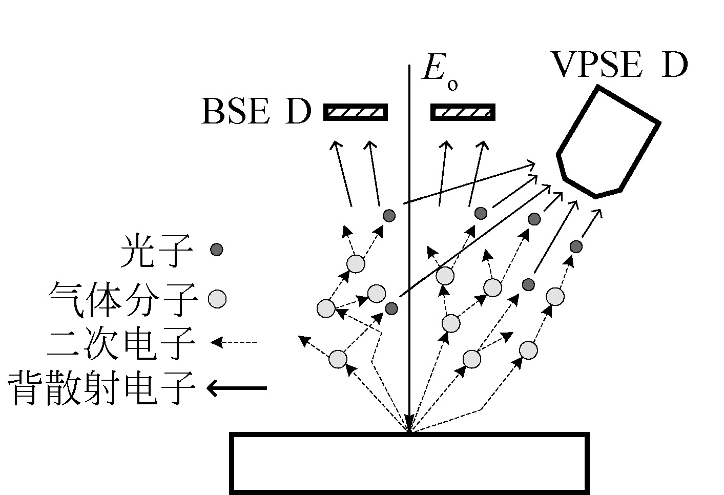 二、低真空成像技術(shù)