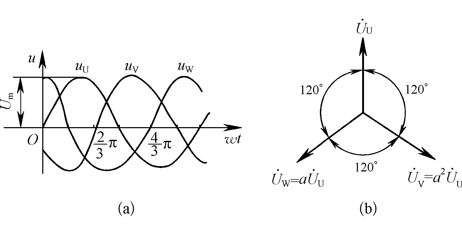三、 三相正弦交流电的表示方法