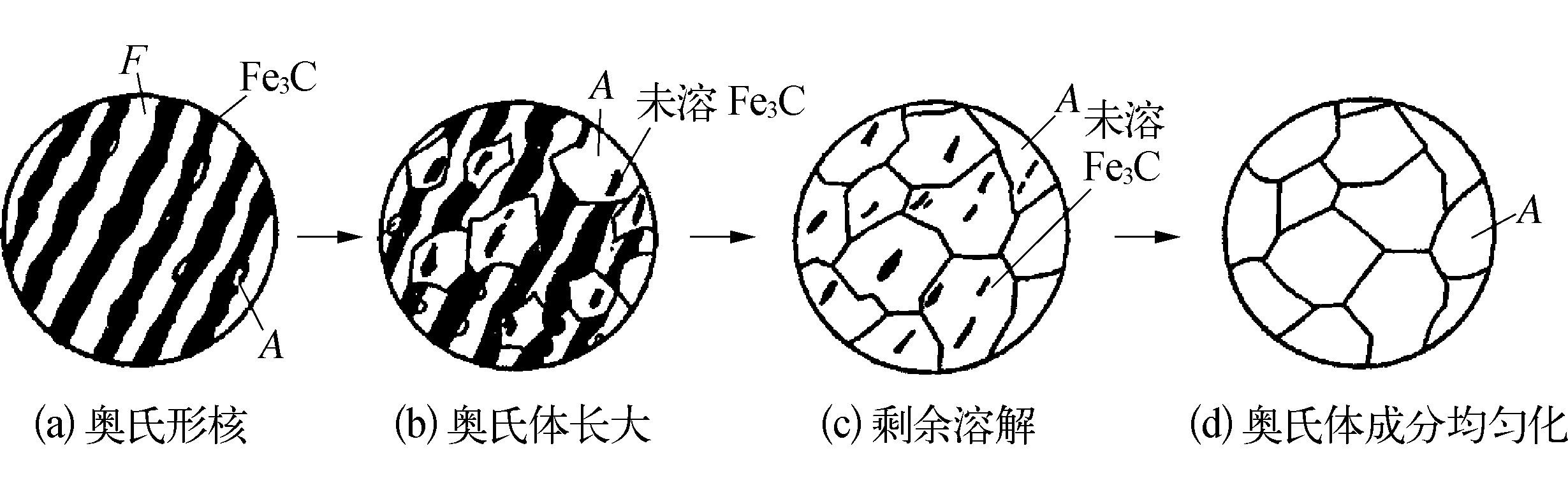 2.1.1　奥氏体化过程及影响因素