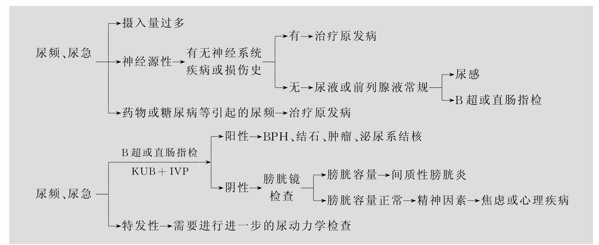 二、尿頻和尿急