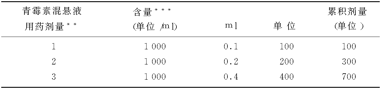 梅毒