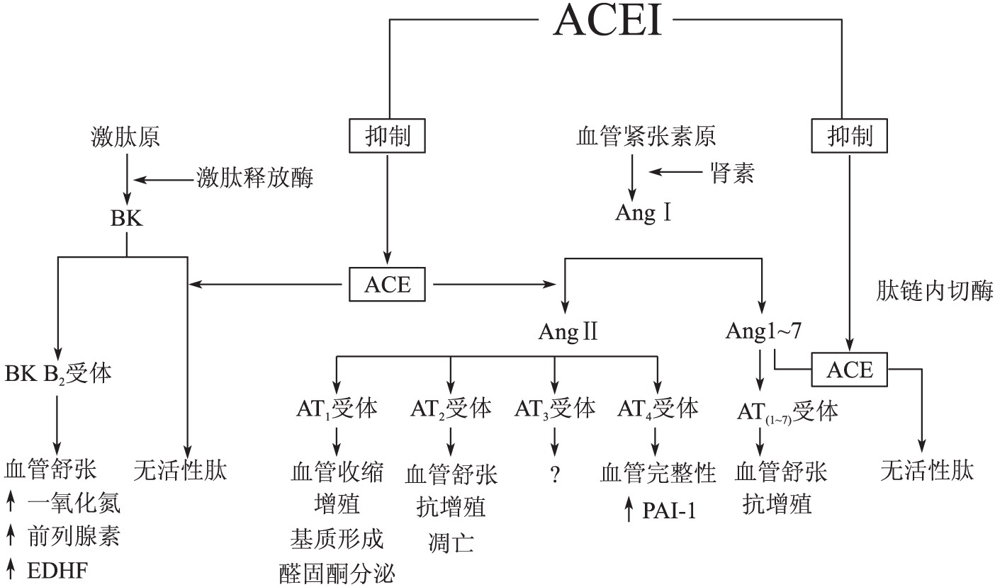 一、概述