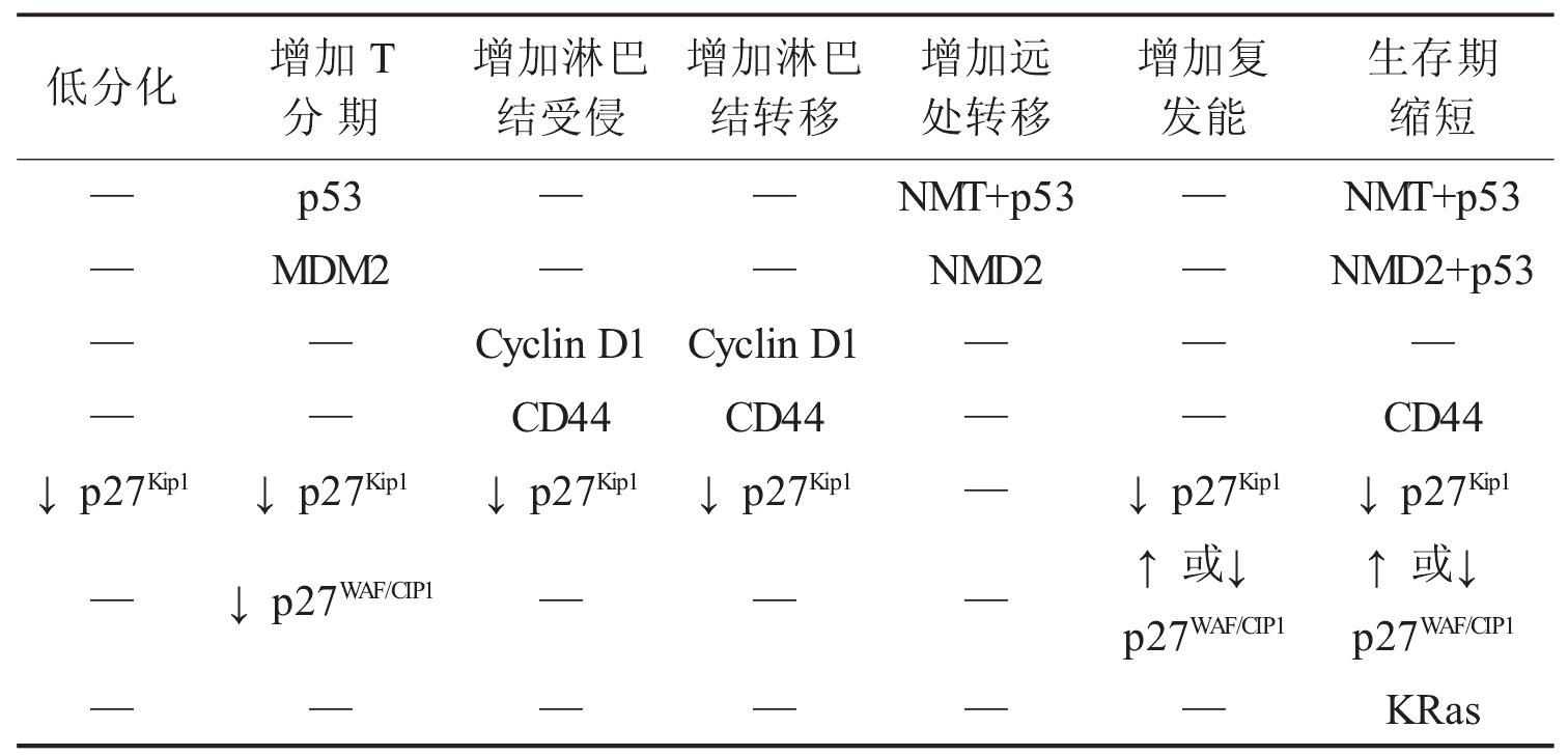 分子生物學(xué)的預(yù)后因素