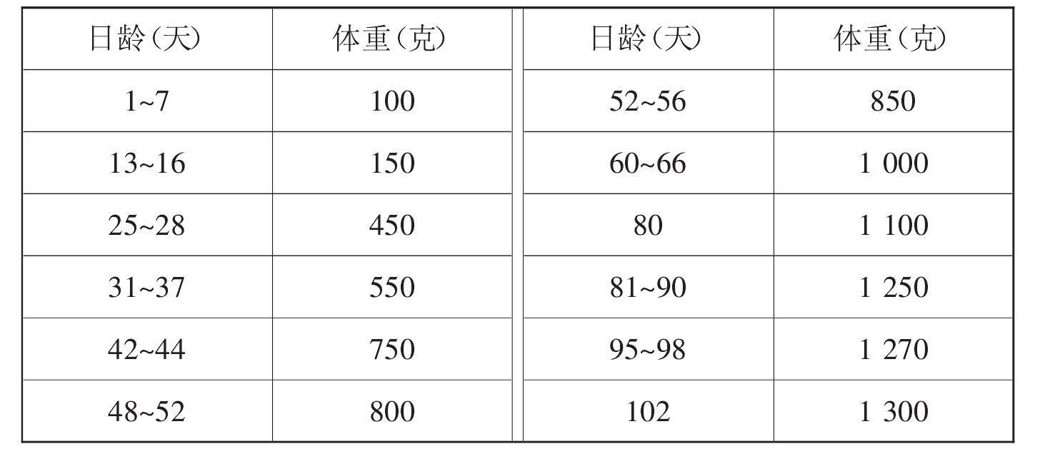 （二）育成鴨的飼養(yǎng)管理