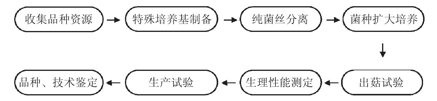 （一）野生食用菌驯化育种流程