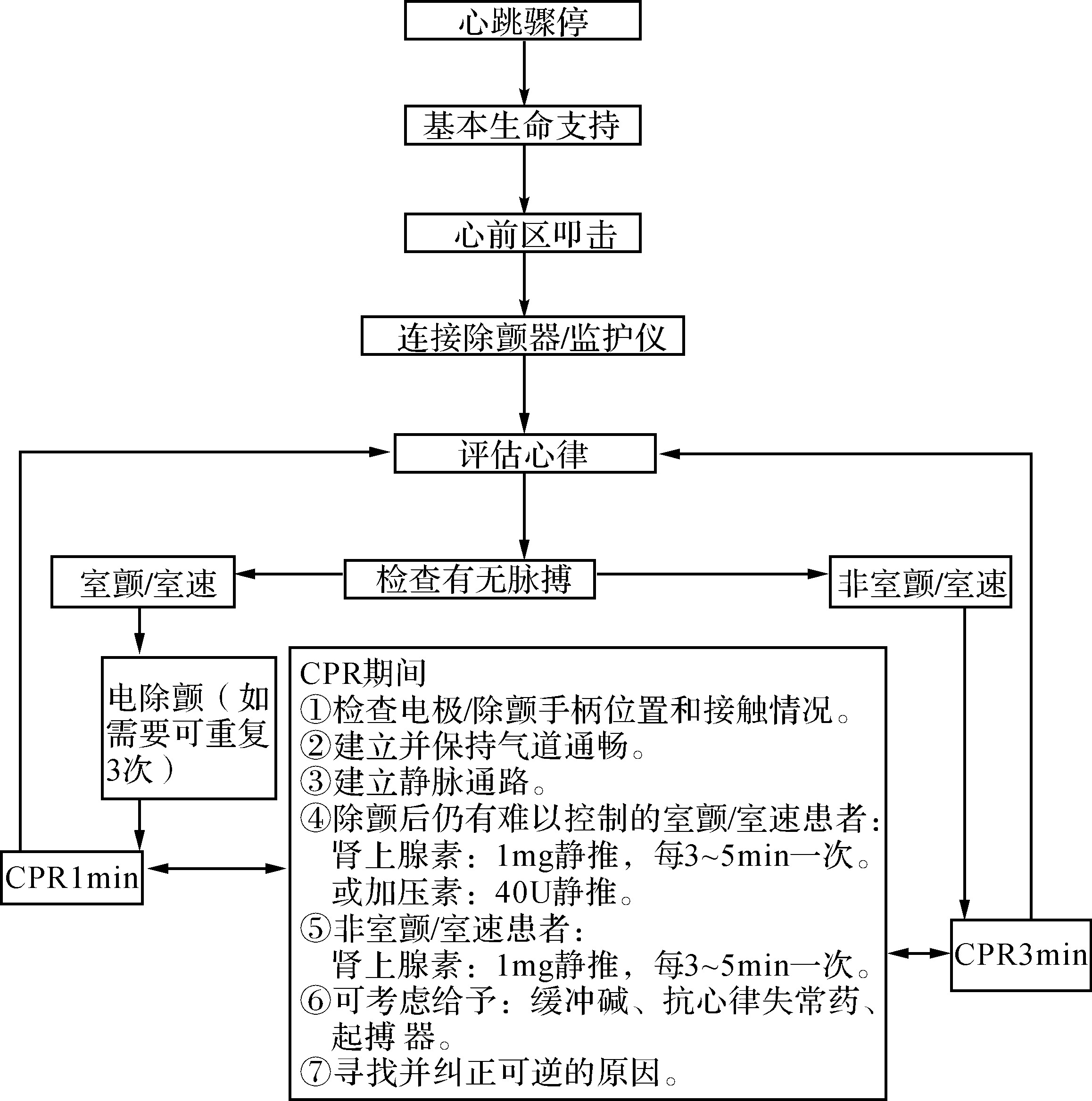 一、心脏骤停与心肺复苏