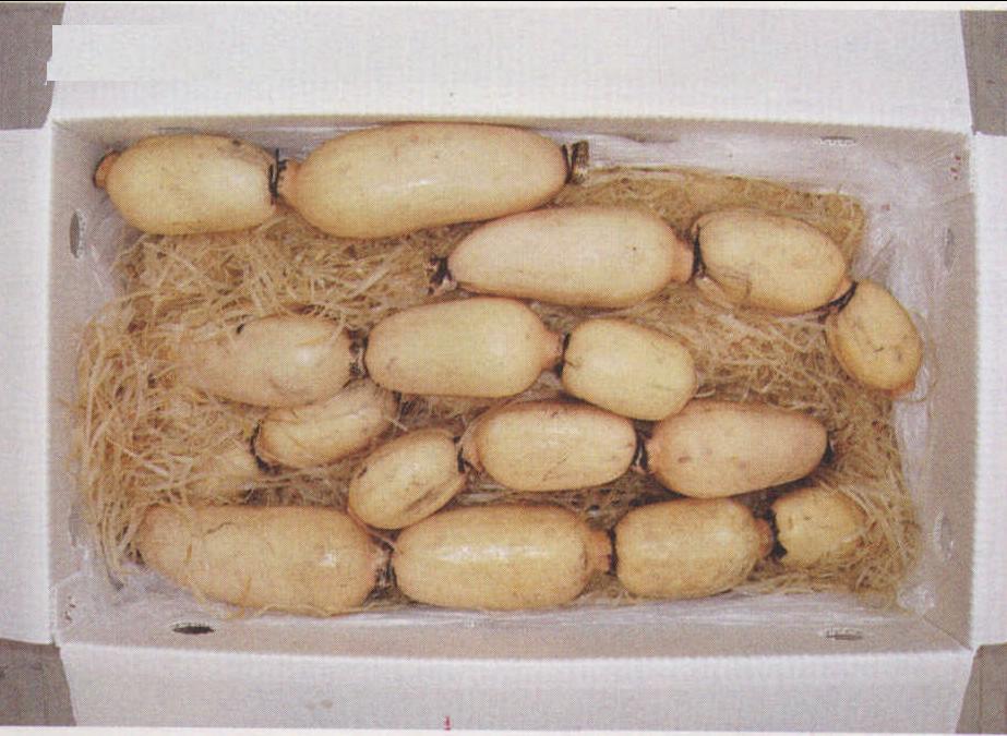 蘆筍蓮珠