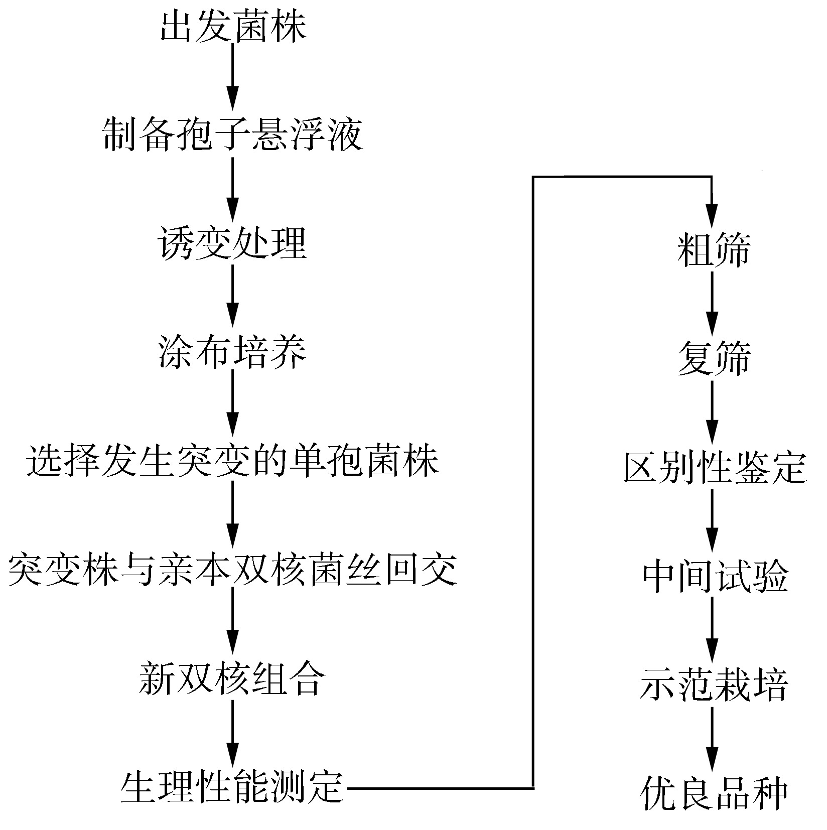 (二)誘變育種