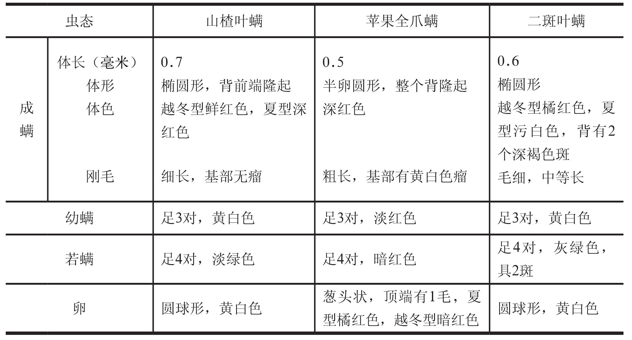 蘋果全爪螨