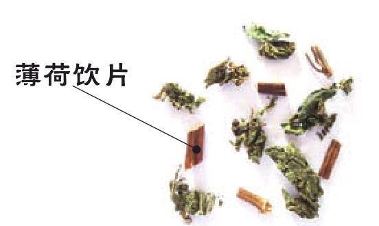 薄荷