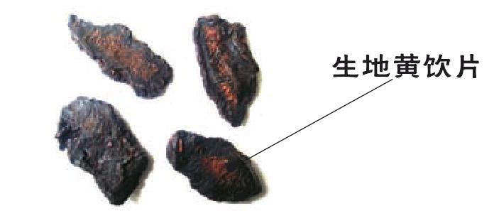 生地黃