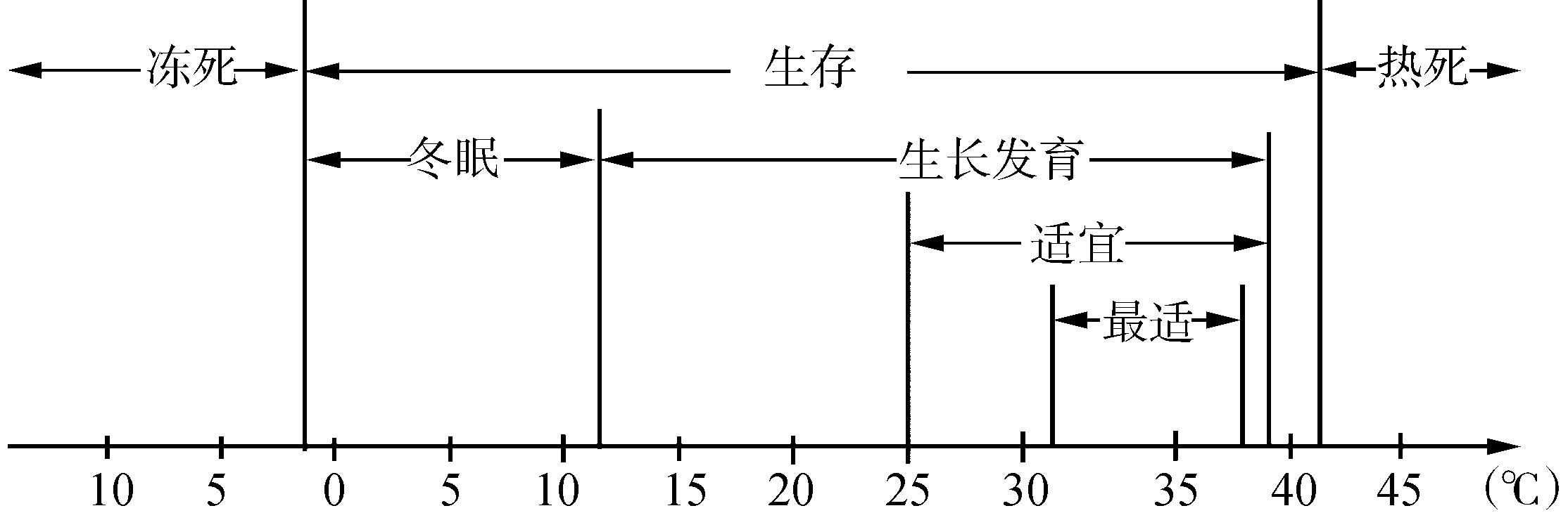 (三)饲养管理