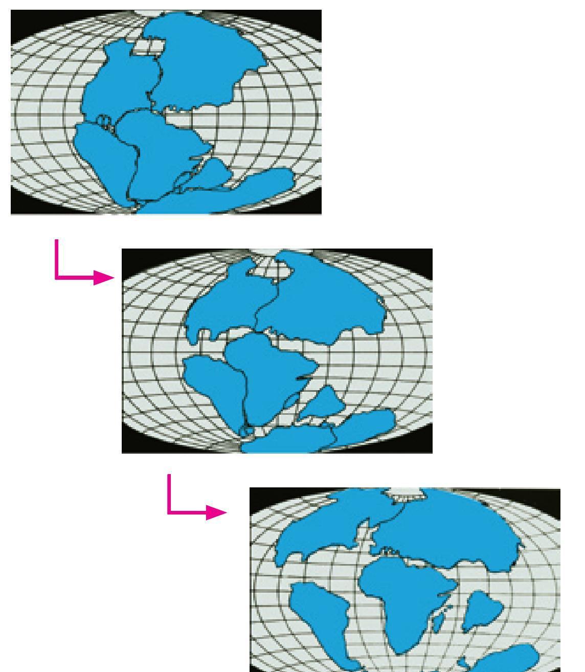 什么是“大陆漂移”学说？