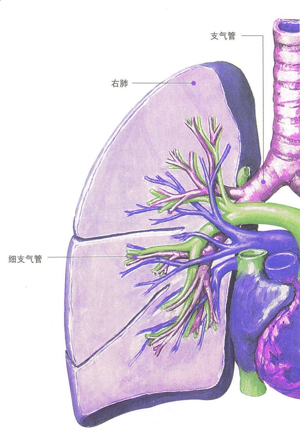 气体交换机