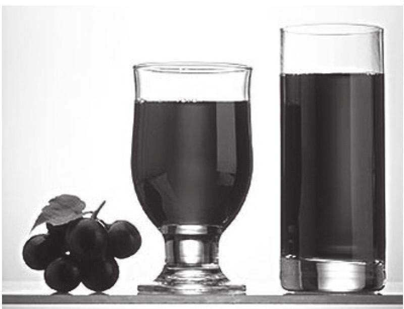 葡萄汁(见图5-6-1、图5-6-2)的制作