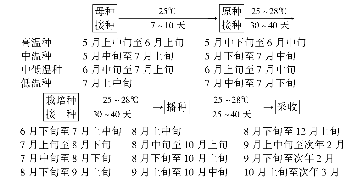 生產(chǎn)時間安排