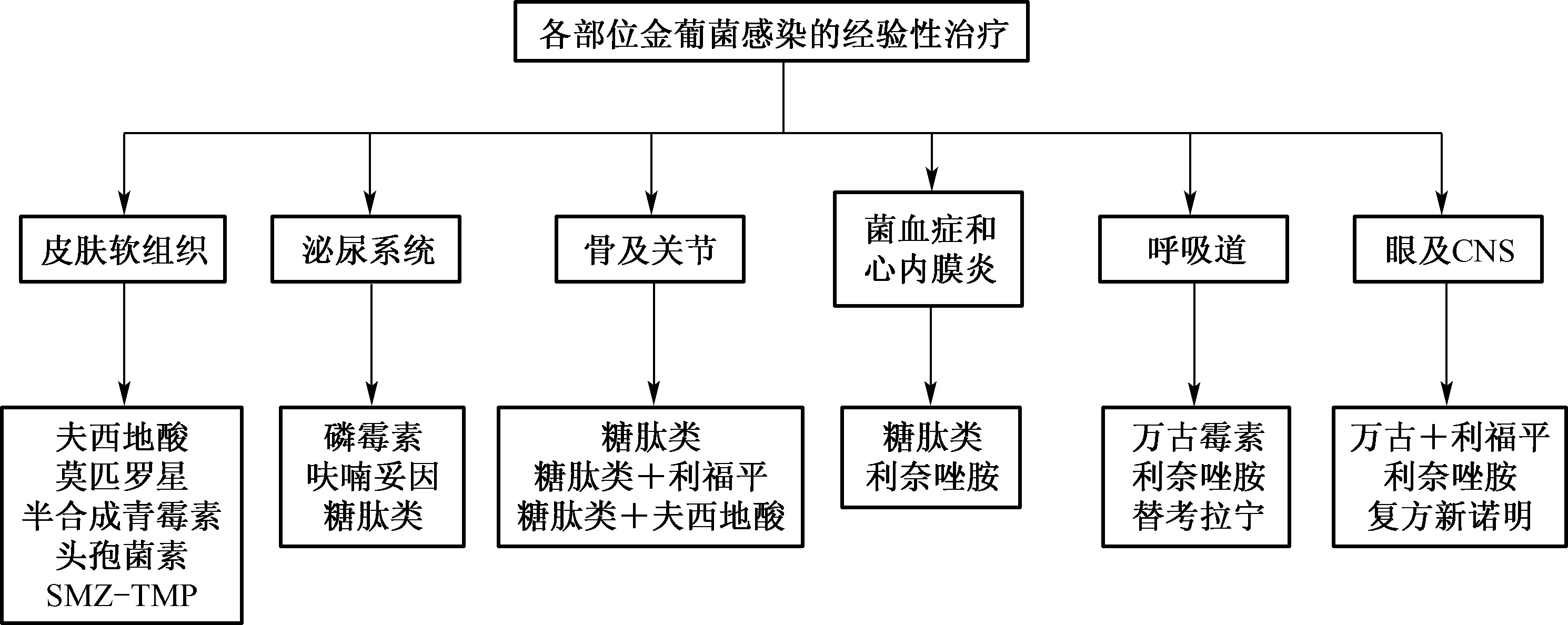 耐甲氧西林金葡菌感染防治專(zhuān)家共識(shí)(2011年)