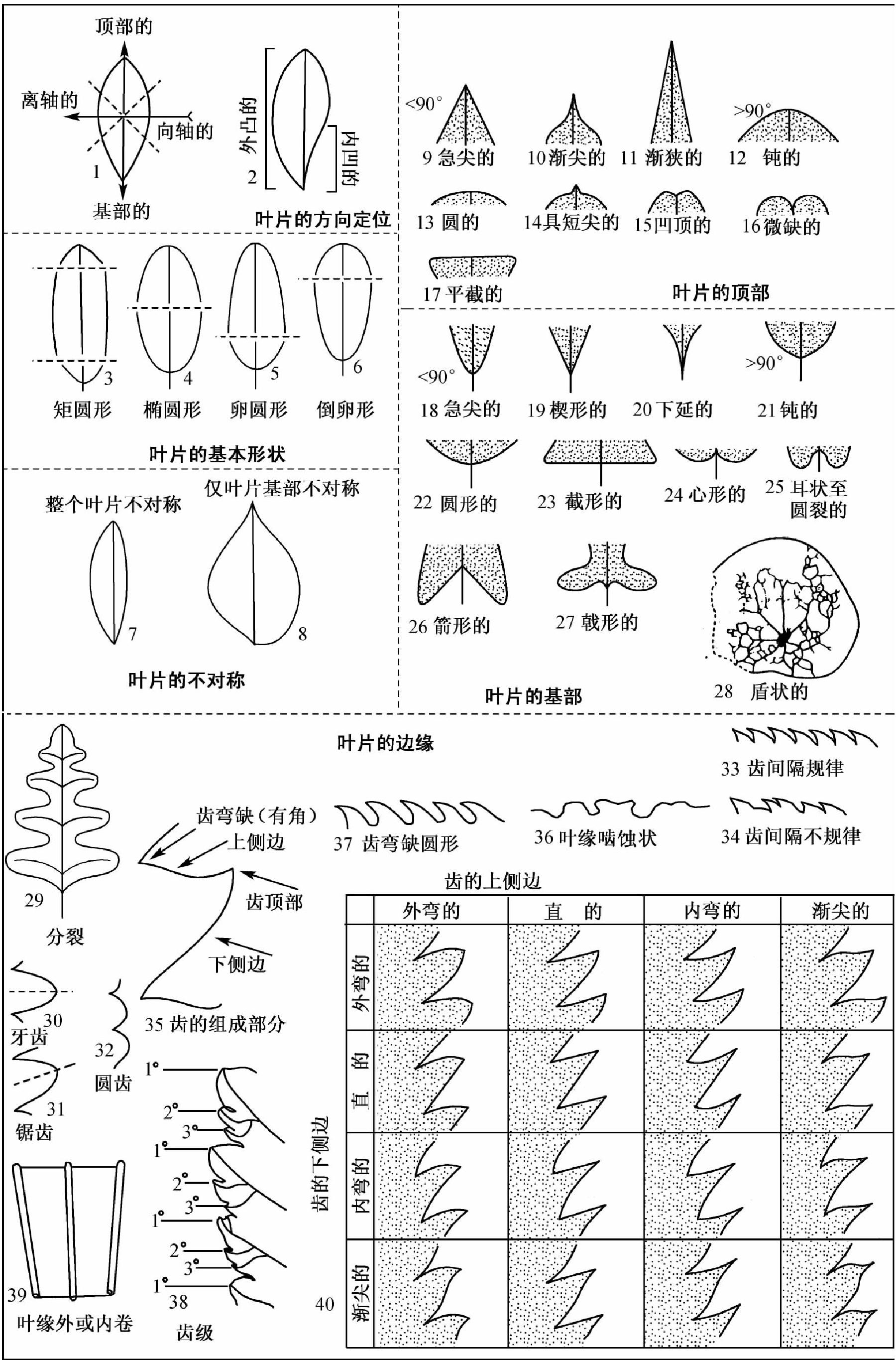 二、 脈序