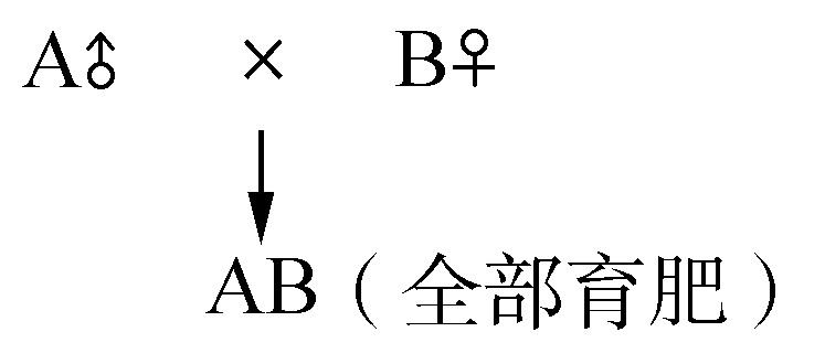 雜交模式