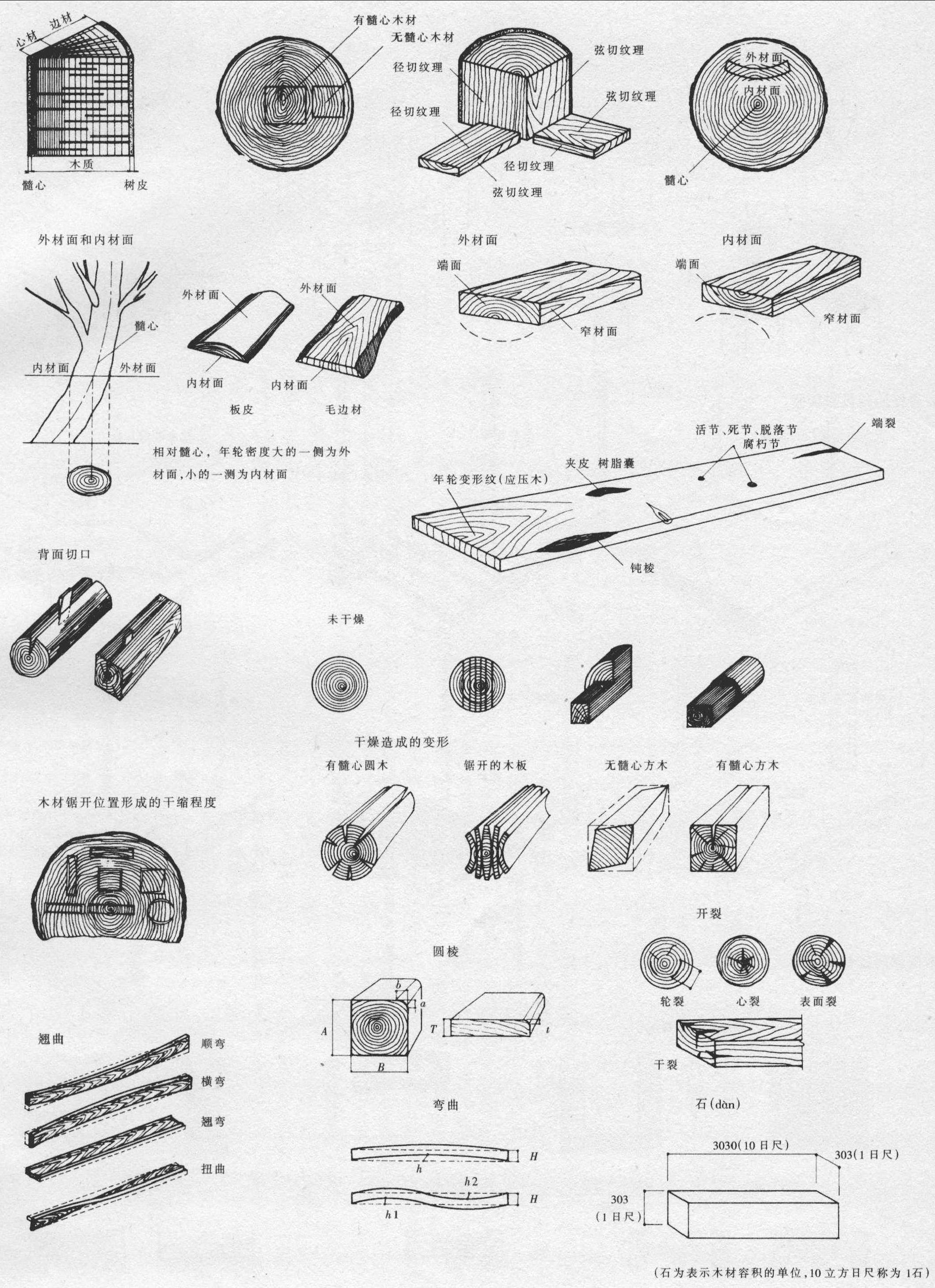 木材的性质及其他