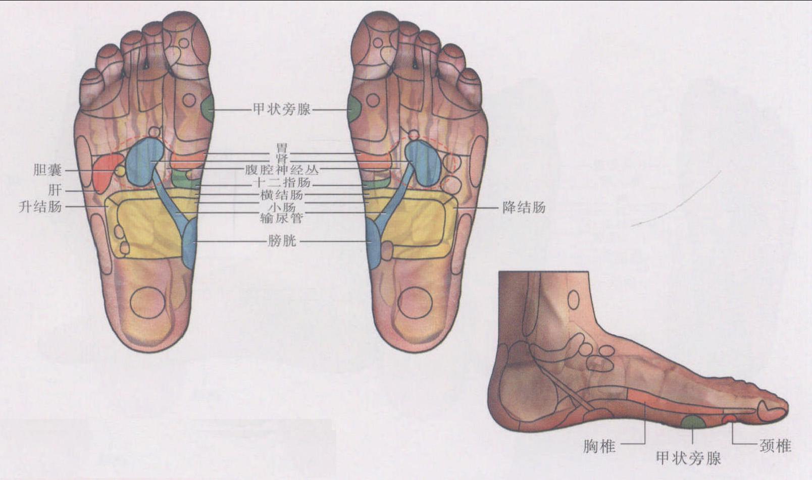 慢性胃炎