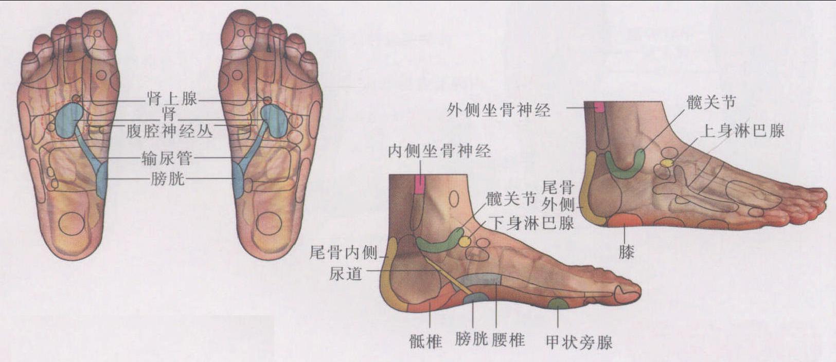 腰椎間盤(pán)突出癥