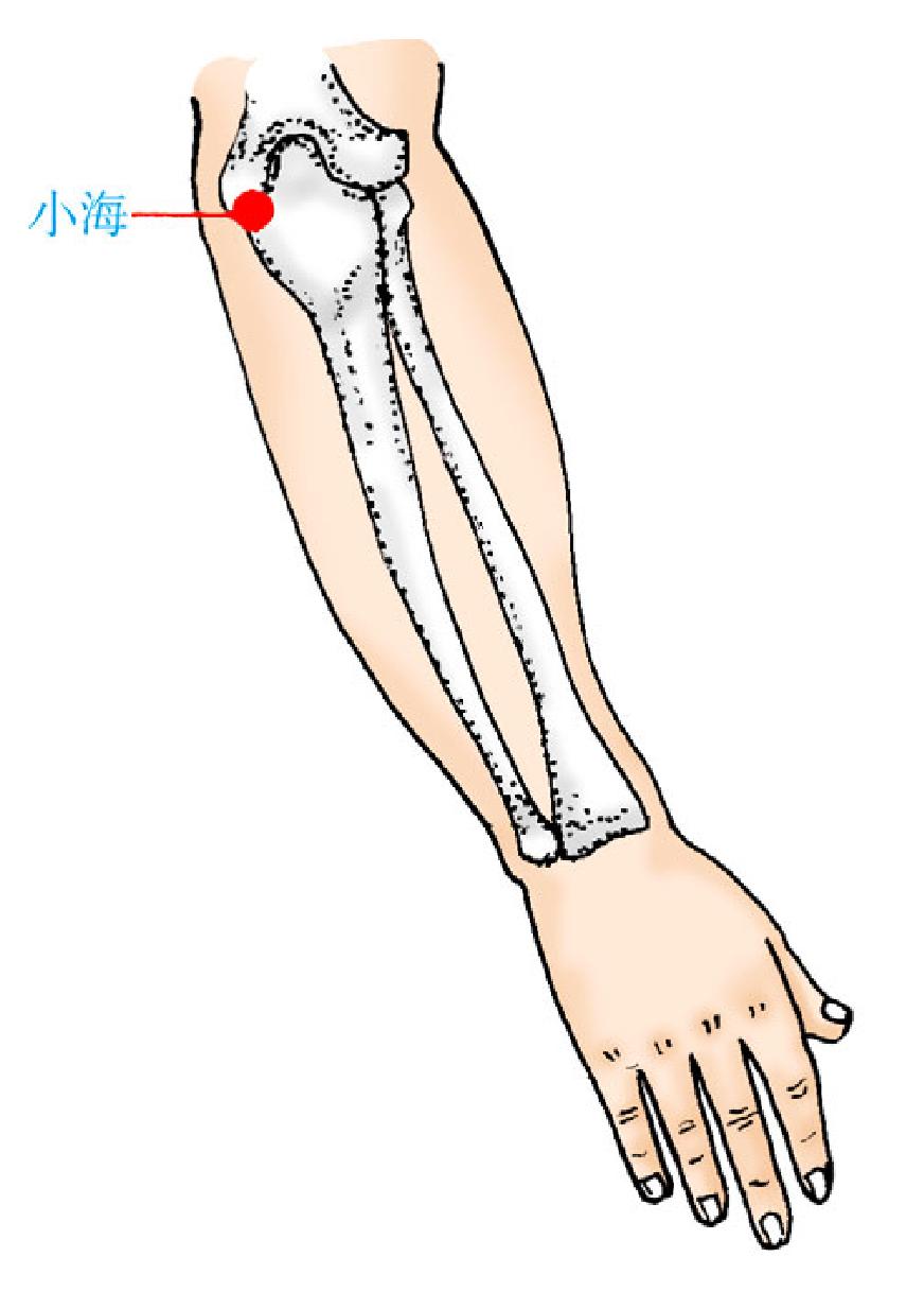 小海齿龈健康寻小海